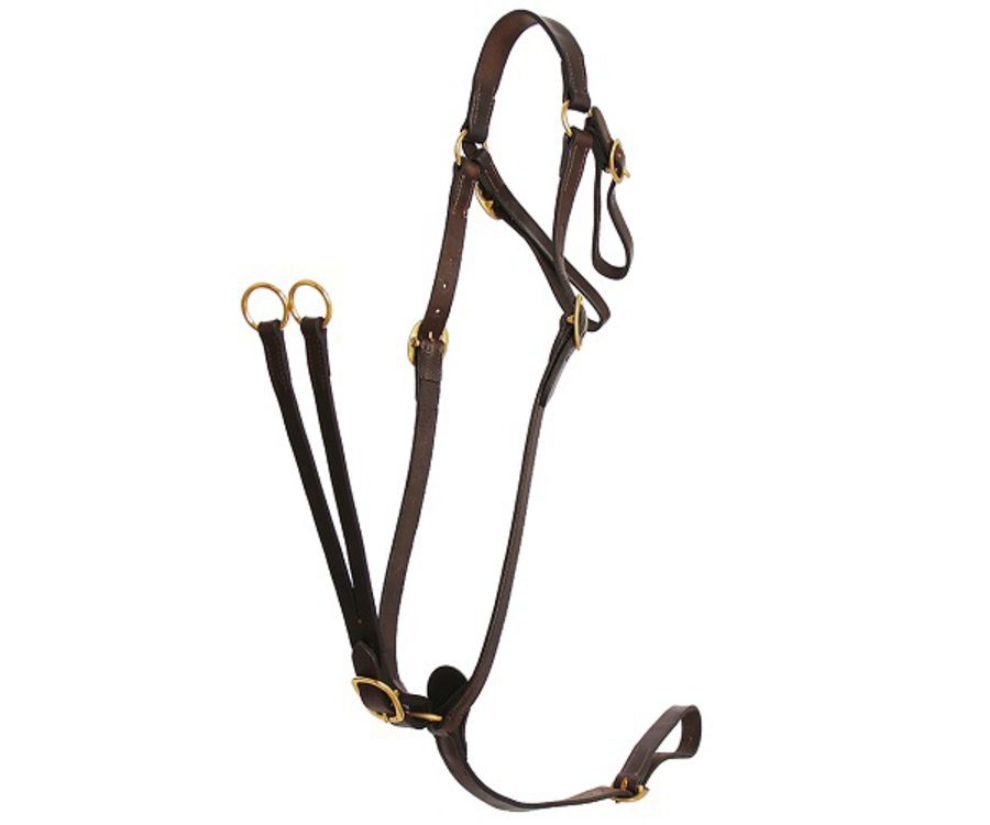 Flair Heavy Duty Martingale Breastplate image 1